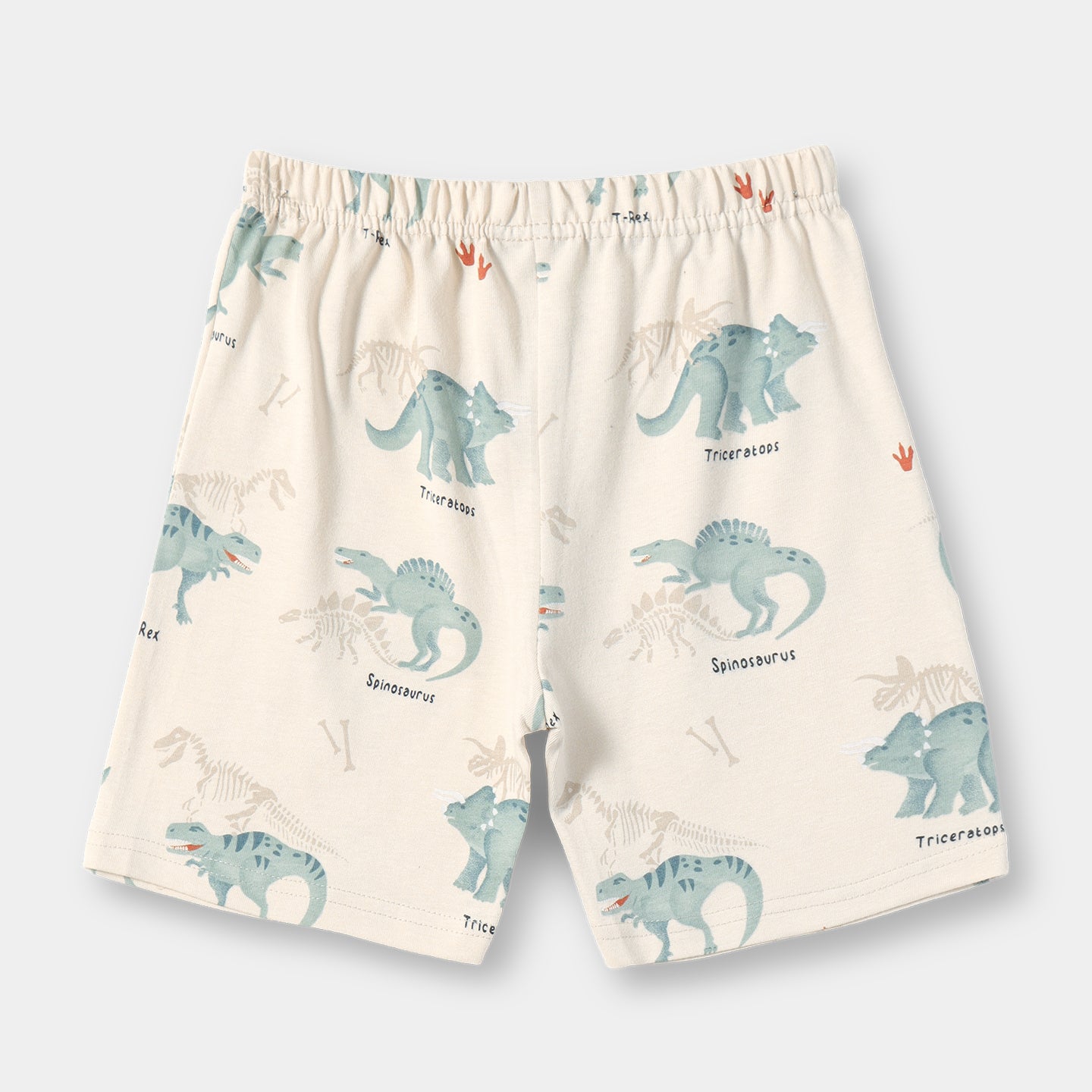 Dino Squad Shorts Set