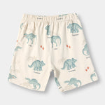Dino Squad Shorts Set