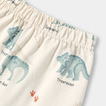 Dino Squad Shorts Set