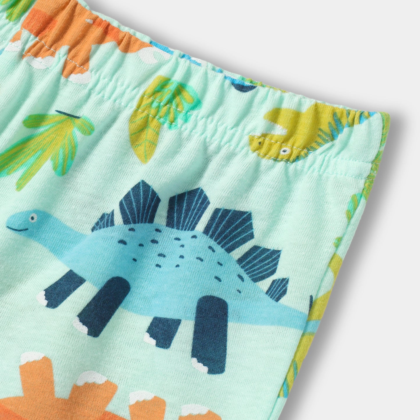 Jurassic Jungle Shorts Set