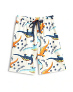 Dino World Boys Shorts Set styled on child — A Tiny Bee kidswear
