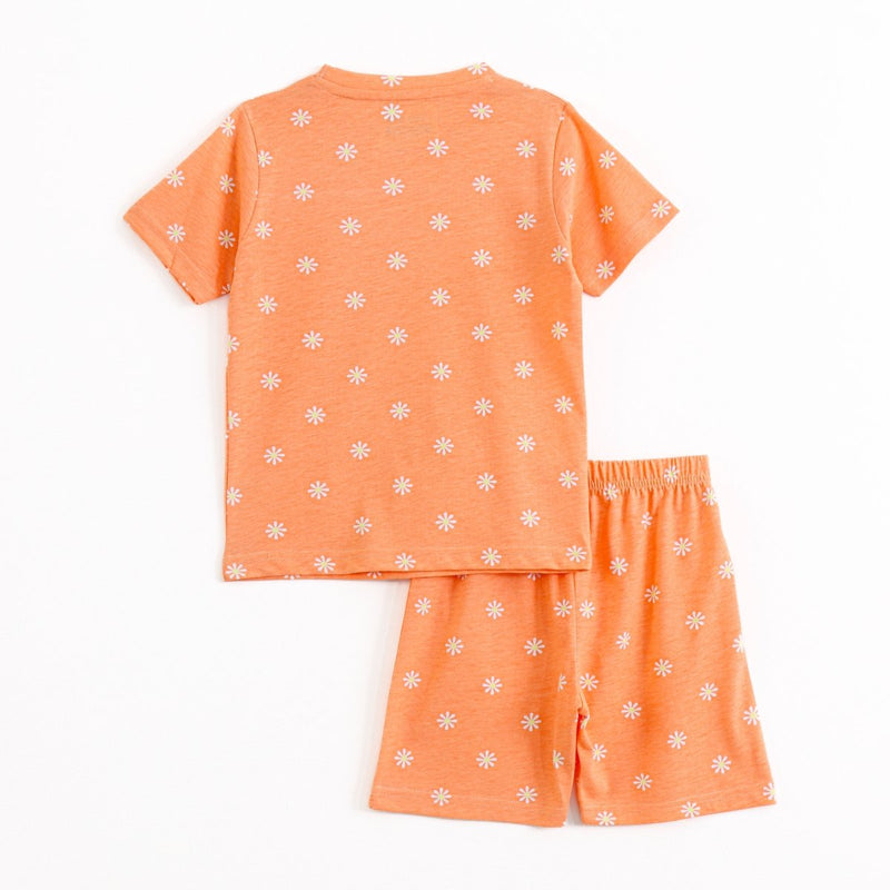 Little Daisy Shorts Set unisex kidswear — back view | A Tiny Bee