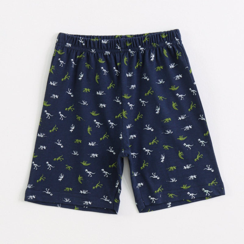 Little Dino Shorts Set styled on child — A Tiny Bee kidswear